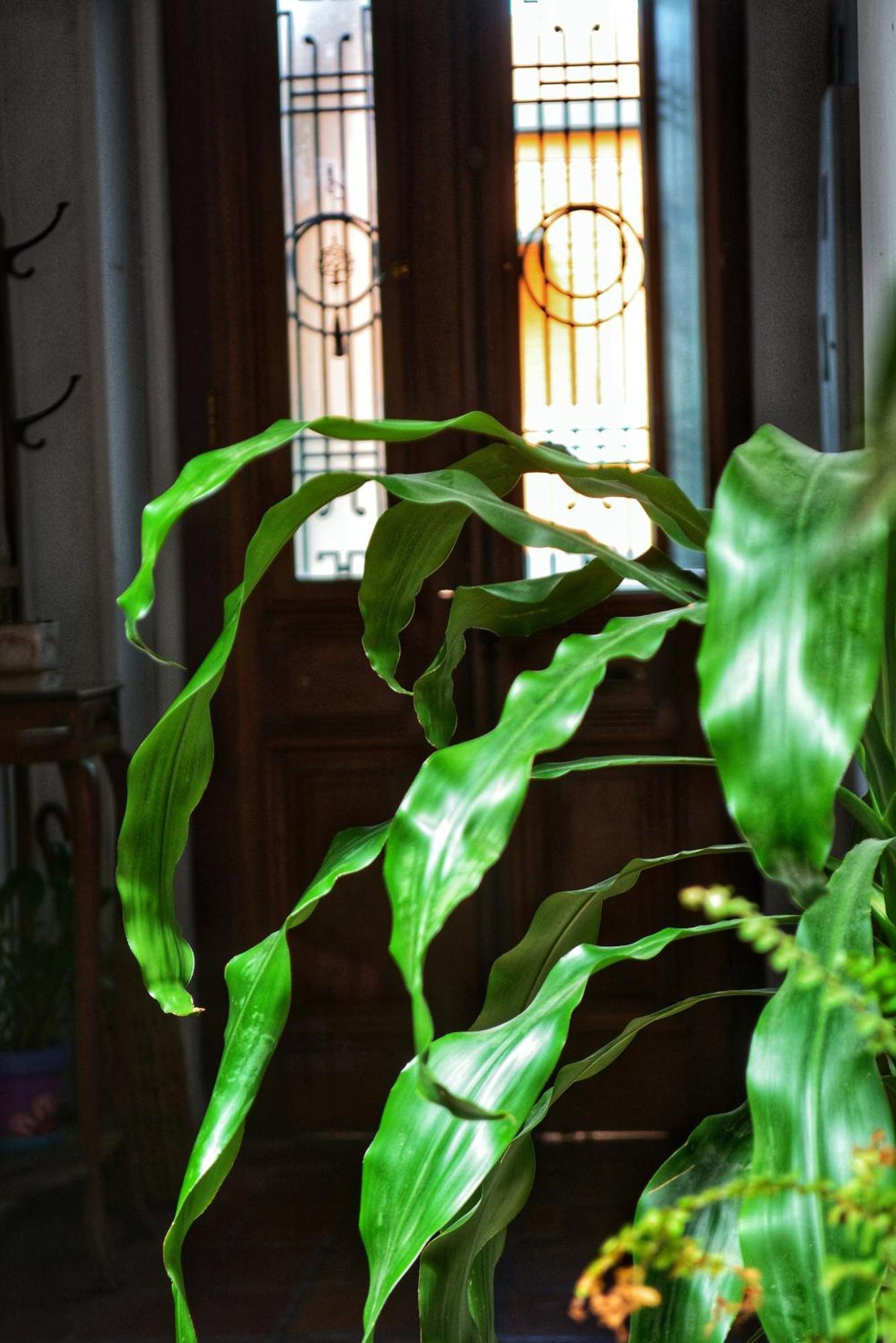 Posada Santa Rita コロニア・デル・サクラメント エクステリア 写真